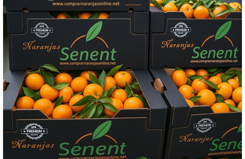 Mixta 15 kg Naranja de Zumo 10 kg y Mandarinas 5 kg