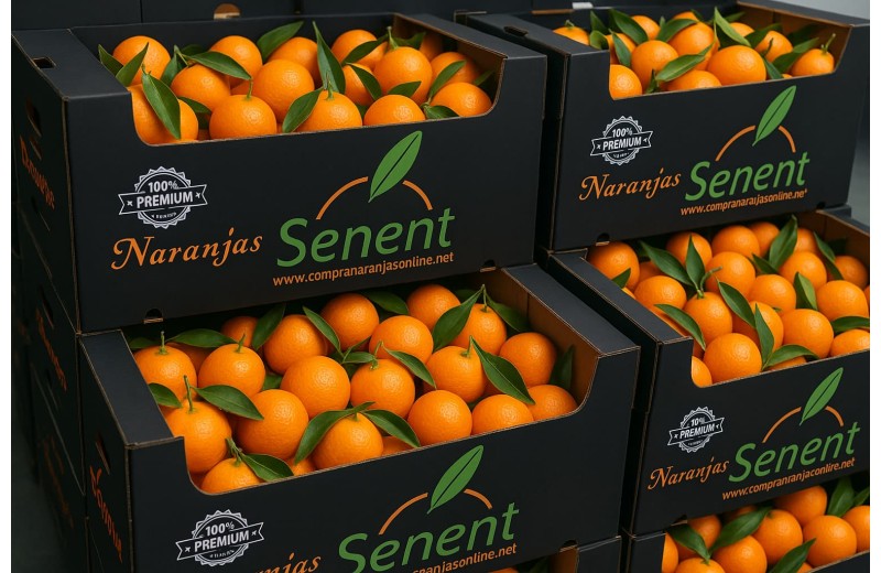 Mixta 15 kg Naranjas de Mesa 10 kg y Mandarinas 5 kg