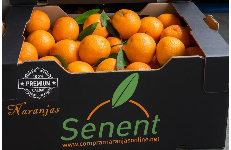 Mixta 15 kg. Naranjas de Zumo Pequeño 10 kg y Naranjas de Mesa 5 kg
