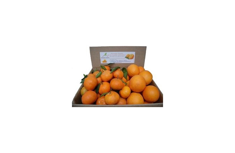 Mixta 15 kg Naranjas Mesa 10 kg y Mandarinas 5 kg