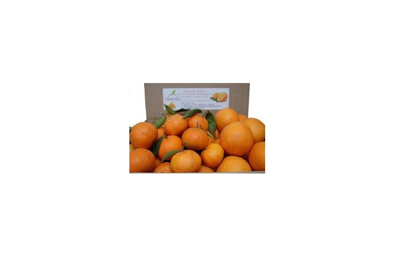 Mixta 15 kg Naranja Zumo 10 kg y Mandarinas 5 kg