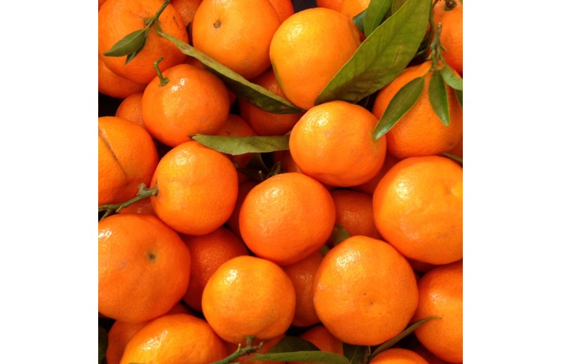 Mandarina Hernandina BABY 10 kg
