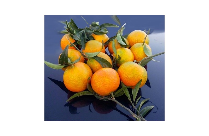 Mandarina Oronules caja 5 kg