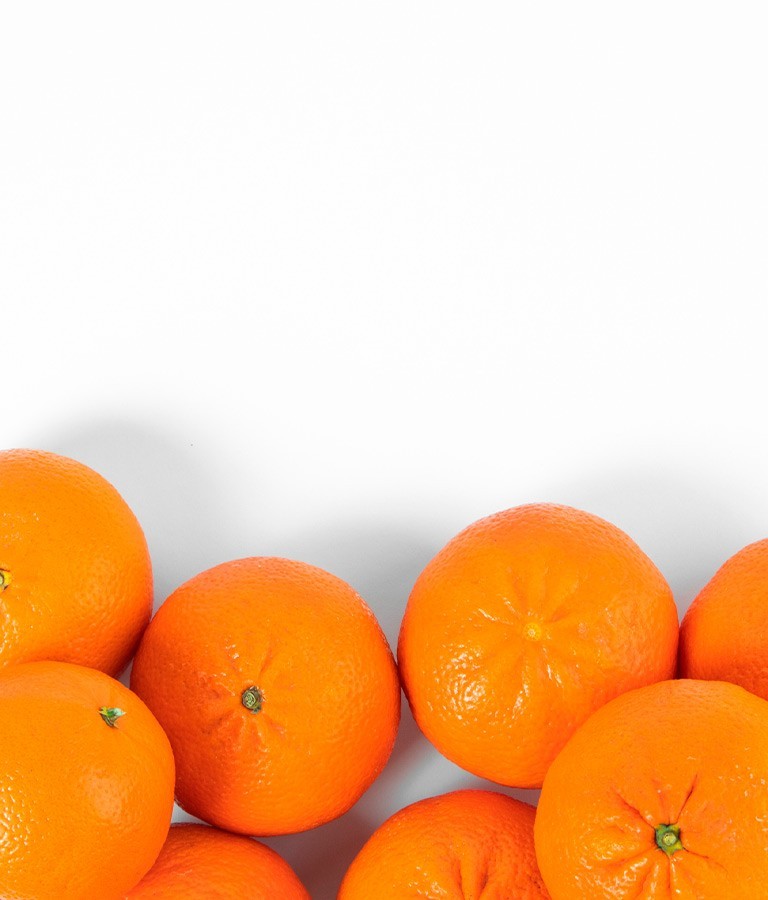 Comprar Online | Naranjas de Valencia a - Naranjas Senent